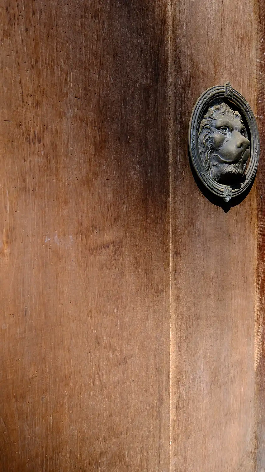 Черный Музей (Baan Dam Museum)