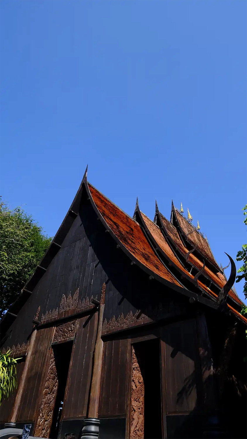 Черный Музей (Baan Dam Museum)